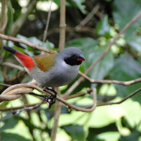 Kingfisher Country House Wildernis Extérieur photo