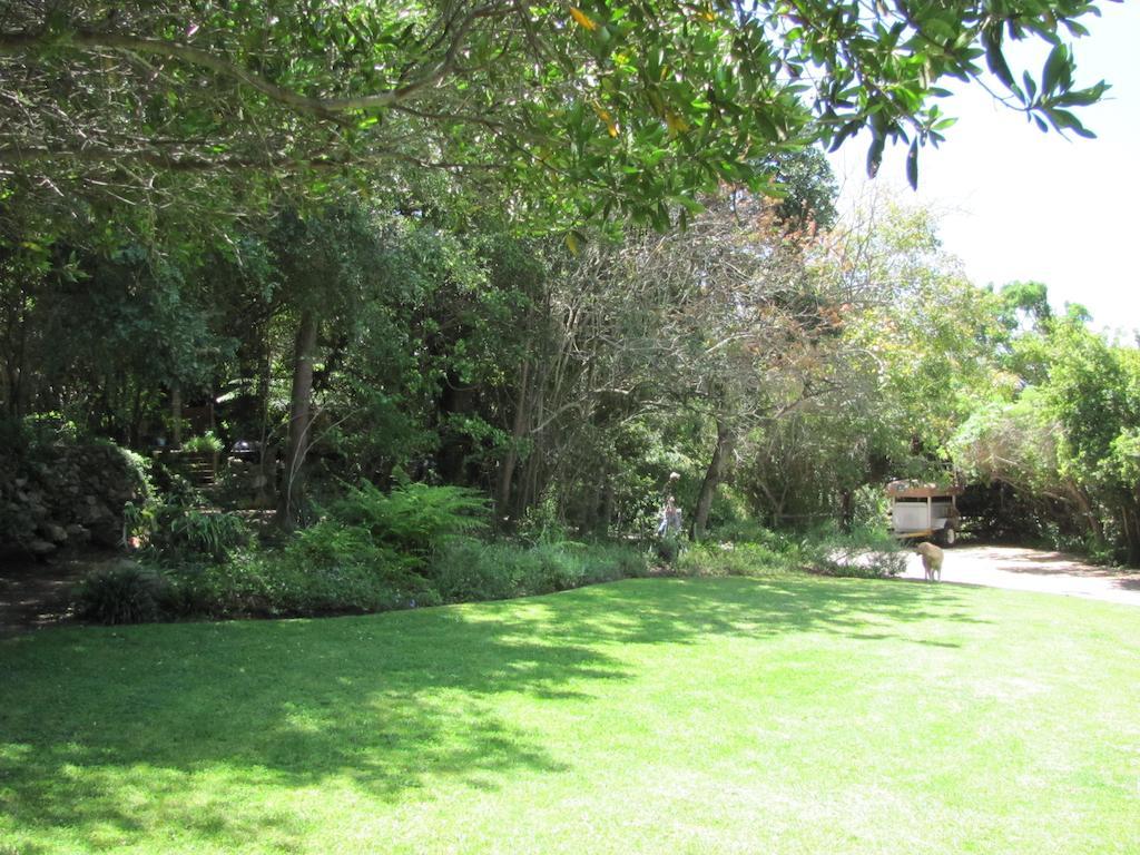 Kingfisher Country House Wildernis Extérieur photo